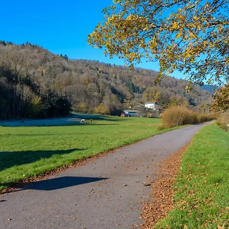 Charmante Maison - Vosges *