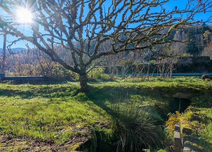 Charmante Maison - Vosges Apartmán *