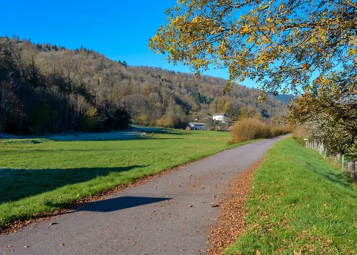 Charmante Maison - Vosges *